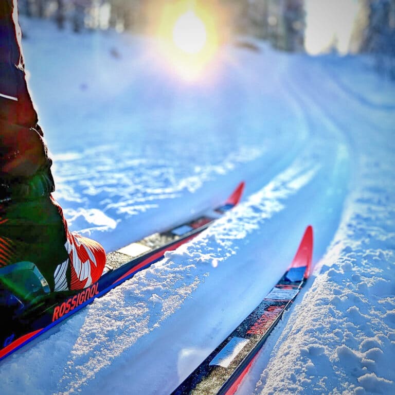 39239239-04db-4864-aac4-34c7c71199f3